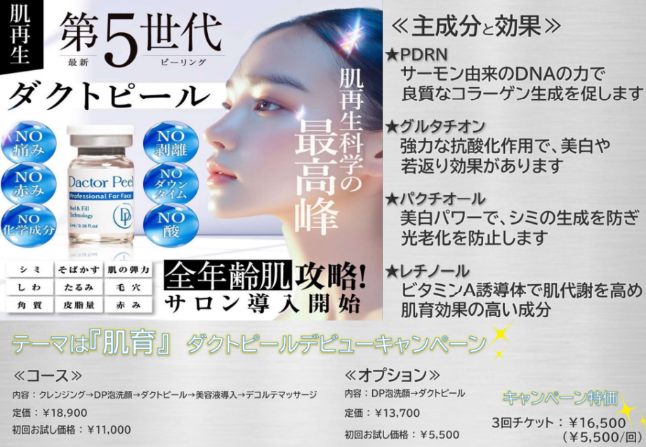 韓国美容ファン必見！最新第5世代ダクトピール
